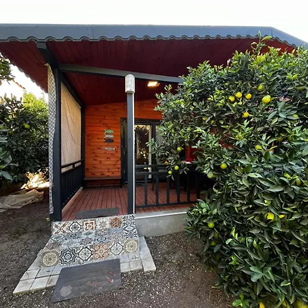 Semesterbostad Charming Wooden House With Access To A Large Garden Kemer